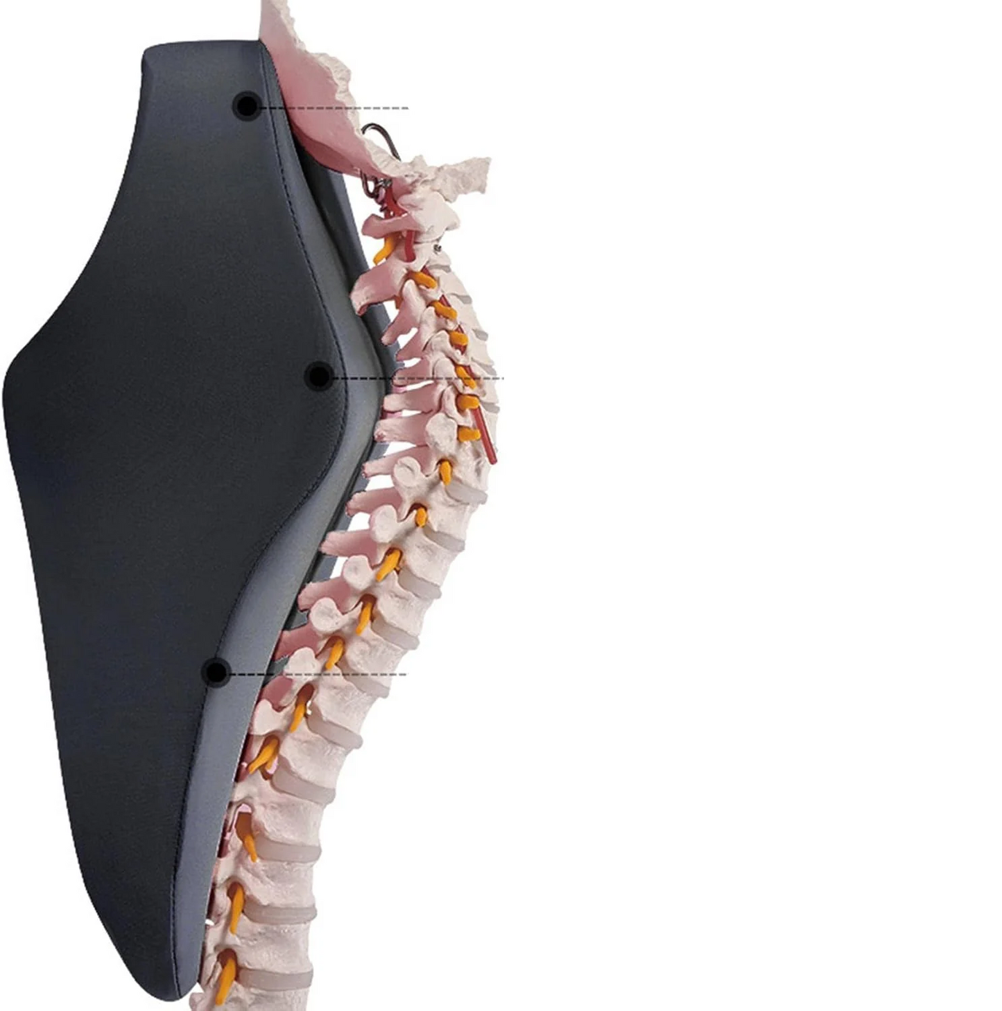 Nouveau coussin de soutien lombaire et d’appui-tête ™